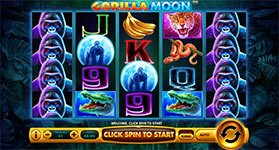 Gorilla Moon