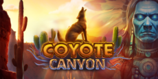 Coyote Canyon